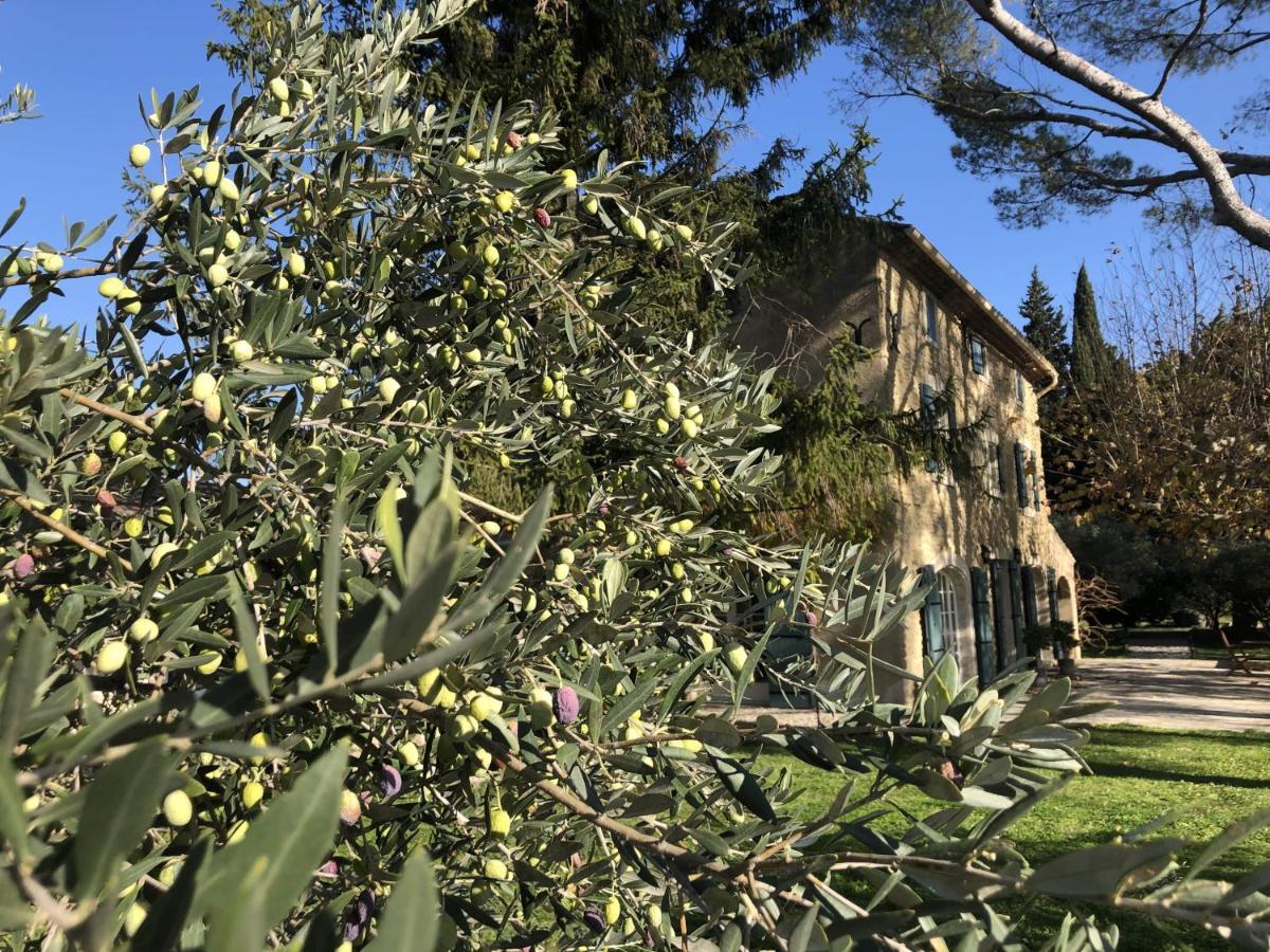 Desir De Provence Bed & Breakfast Sarrians Exterior photo